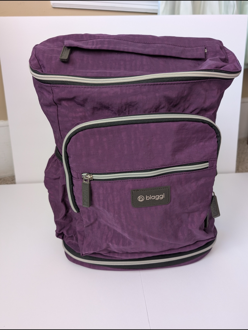 Biaggi Zipsak Backpack On The Go